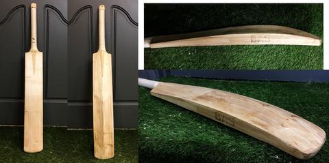 BAS Blaster English Willow Cricket Bat
