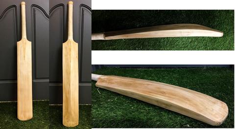 SS Matrix Cricket Bat
