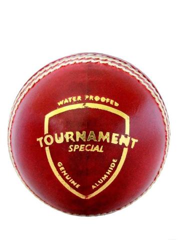 SG Tournament Special Cricket Ball